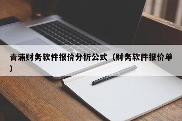 青浦财务软件报价分析公式（财务软件报价单）