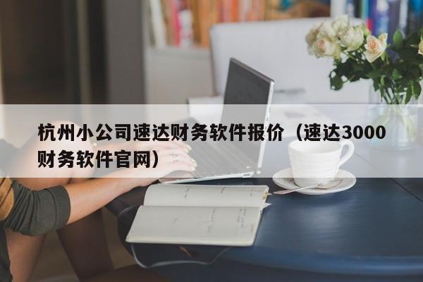 杭州小公司速达财务软件报价（速达3000财务软件官网）