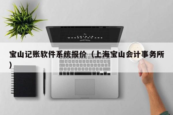 宝山记账软件系统报价（上海宝山会计事务所）