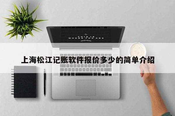 上海松江记账软件报价多少的简单介绍