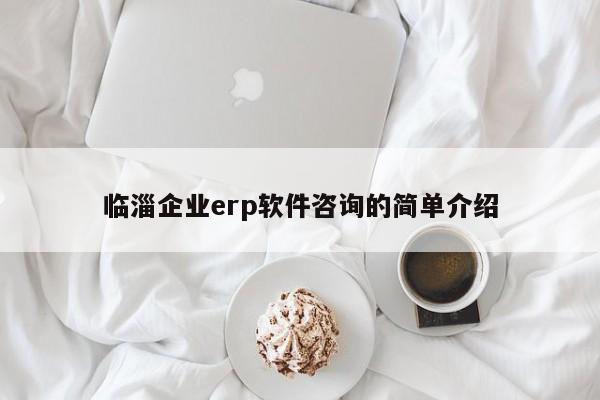 临淄企业erp软件咨询的简单介绍